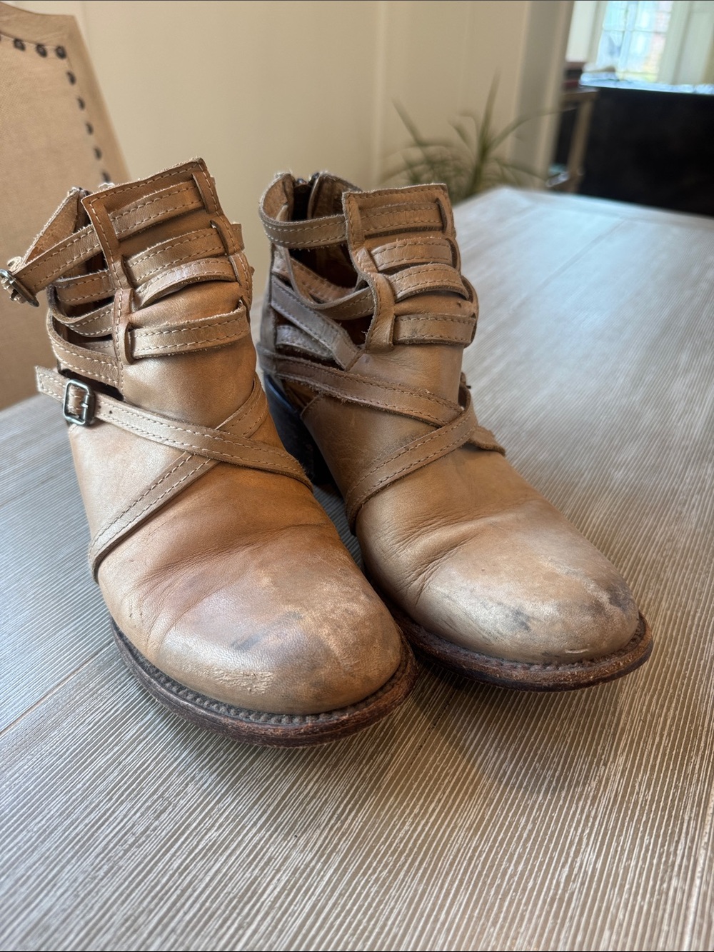 Freebird by Steven Tan Leather Strappy Ankle Booties Stair